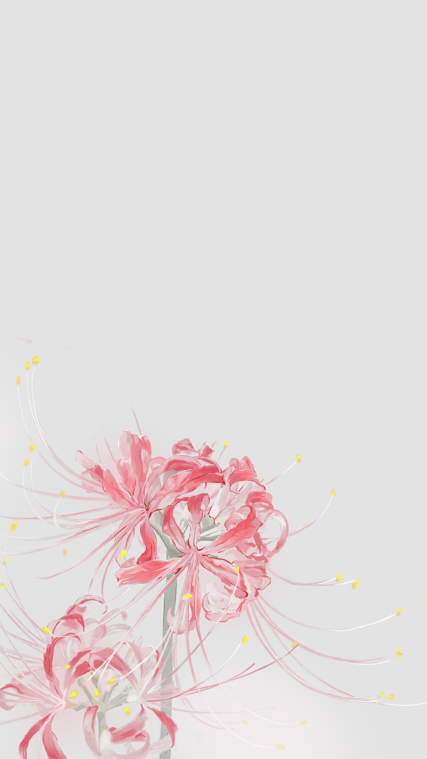 彼岸花古風