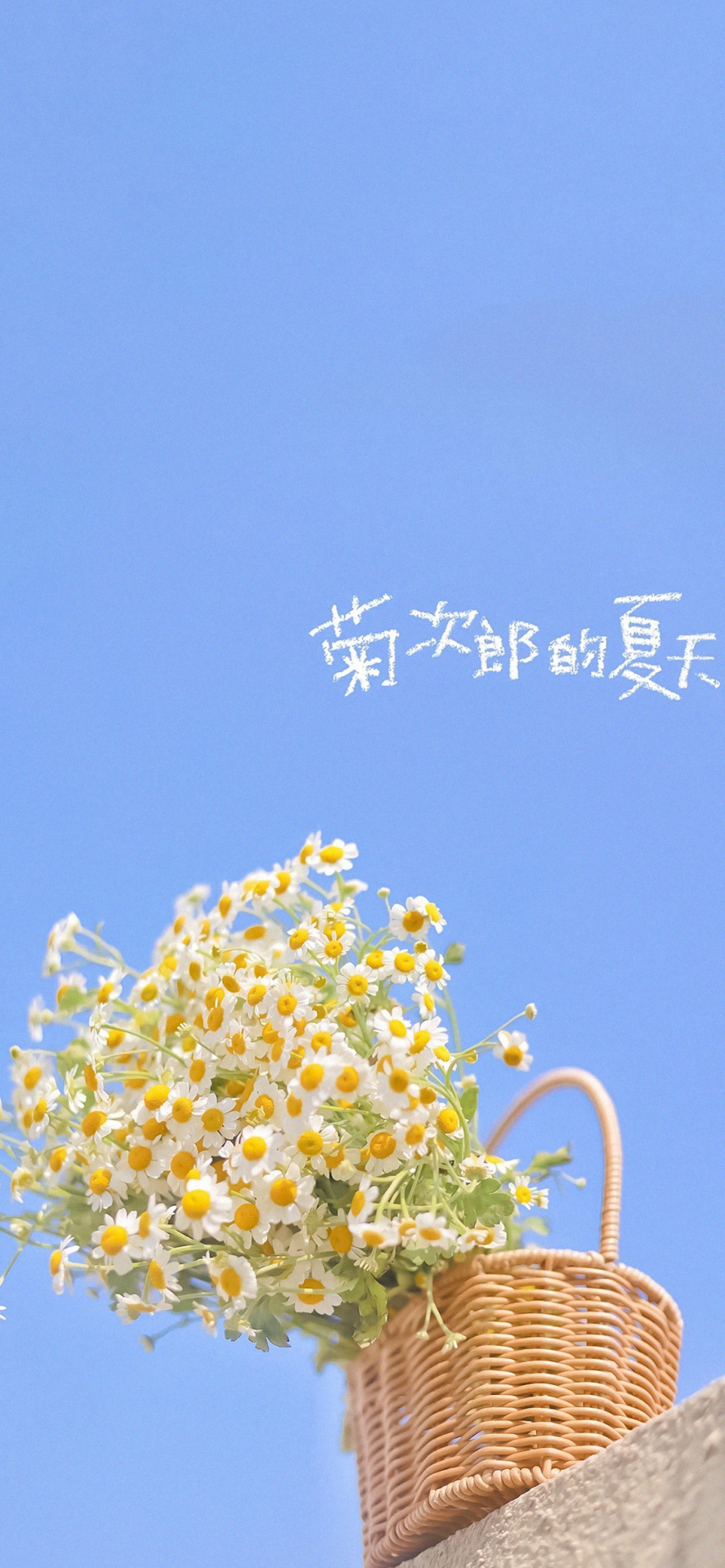高清文艺小雏菊壁纸