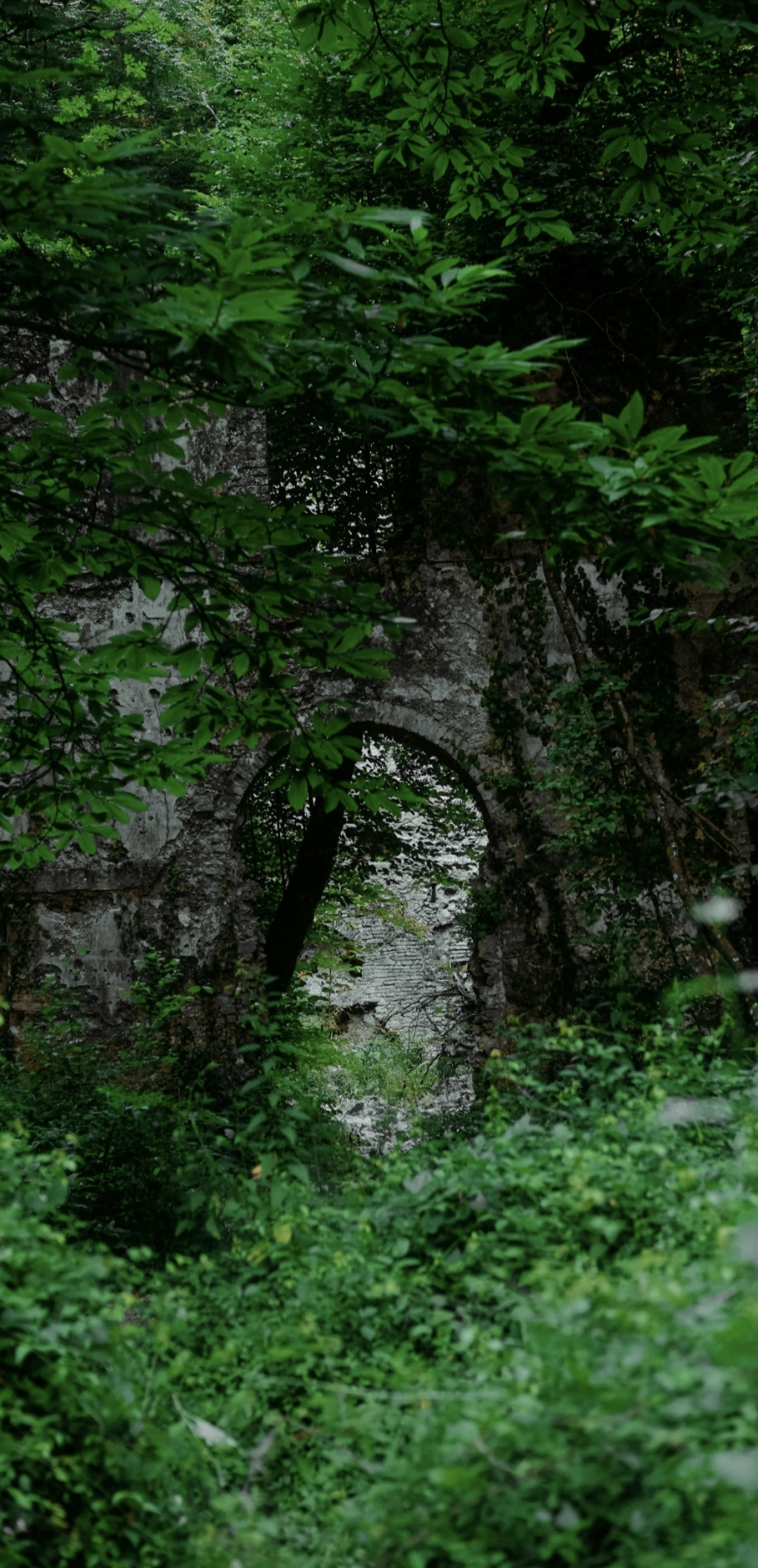 山顶洞