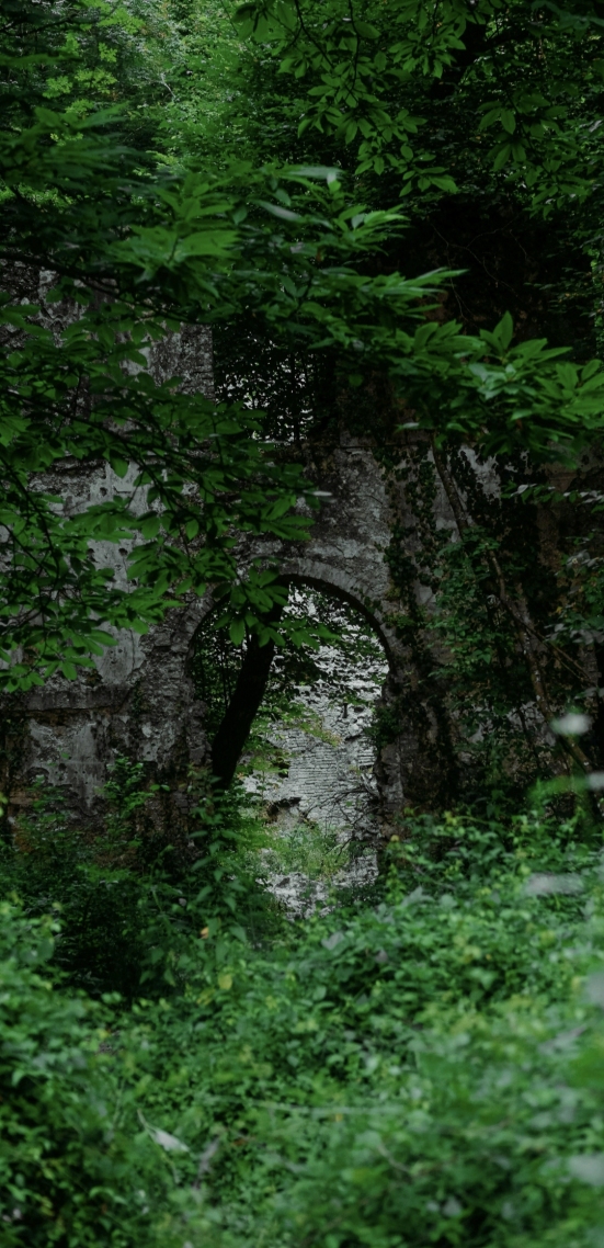 山顶洞