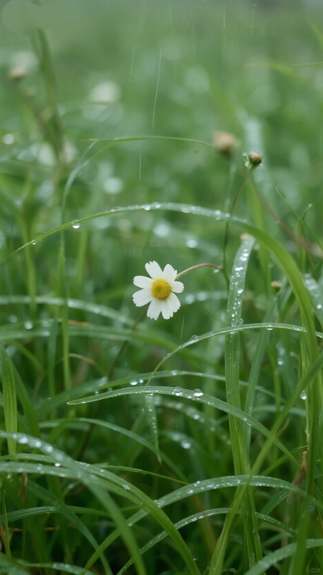 小花