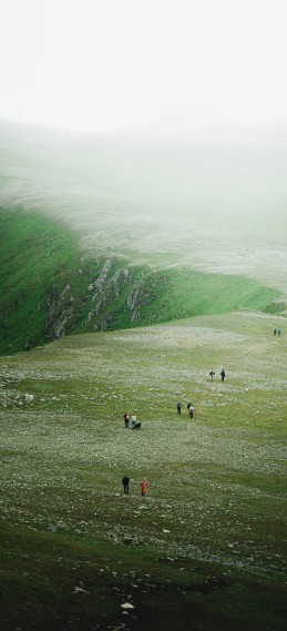 风景