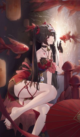 崩坏花火