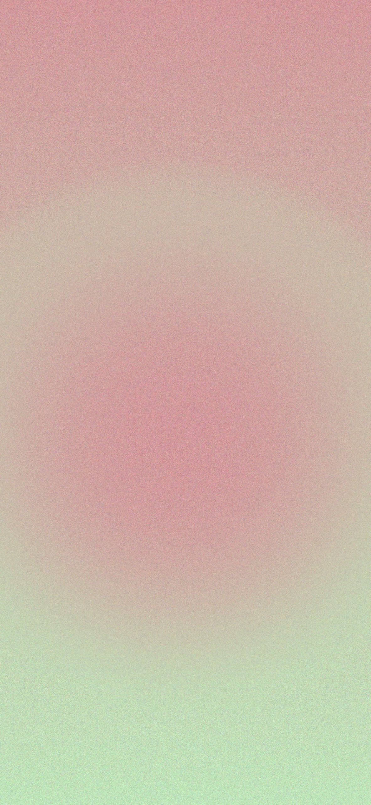 浪漫花日3