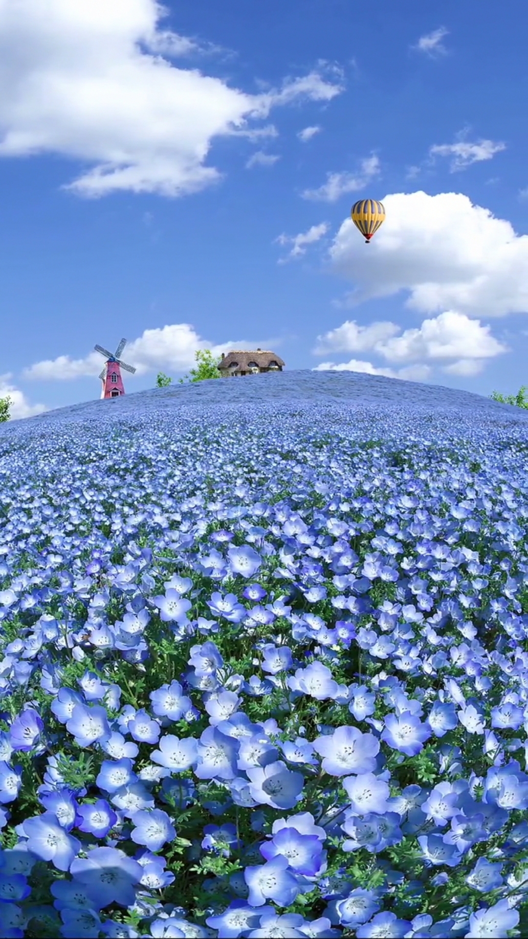 花海
