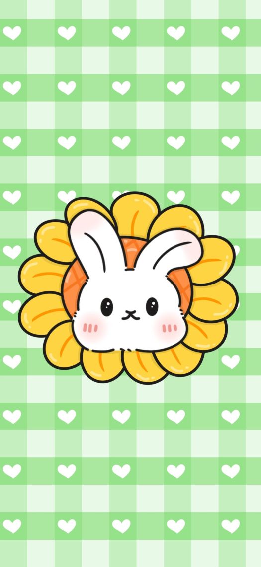 太阳花兔子