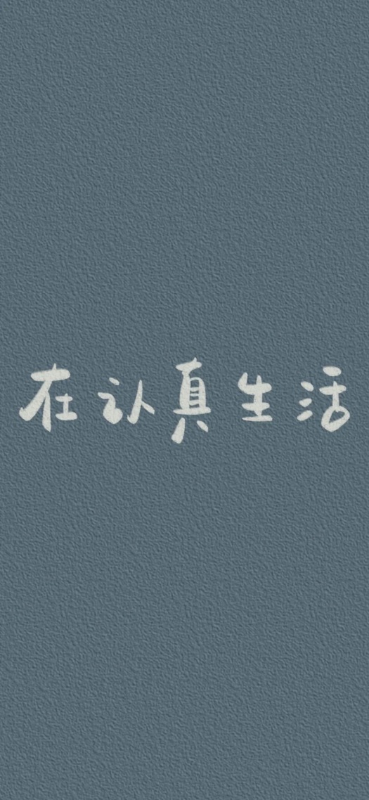 在认真生活