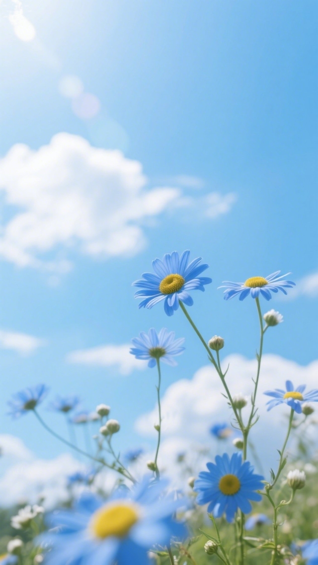 小蓝花