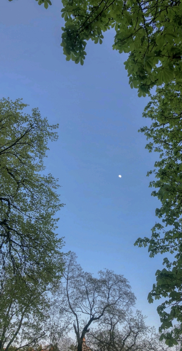 夏天來了