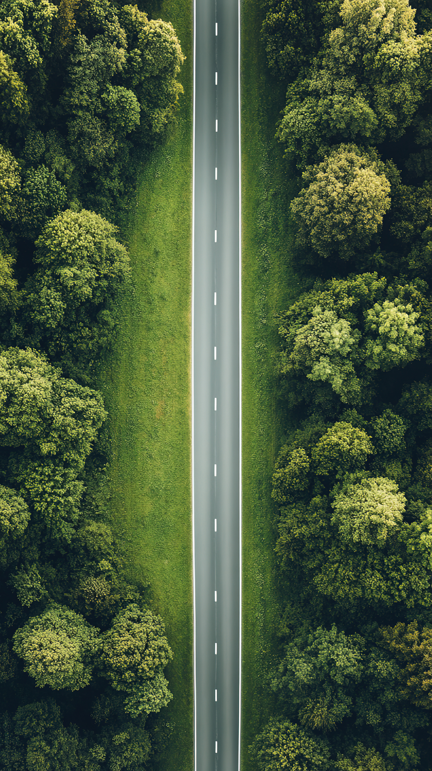 公路航拍护眼