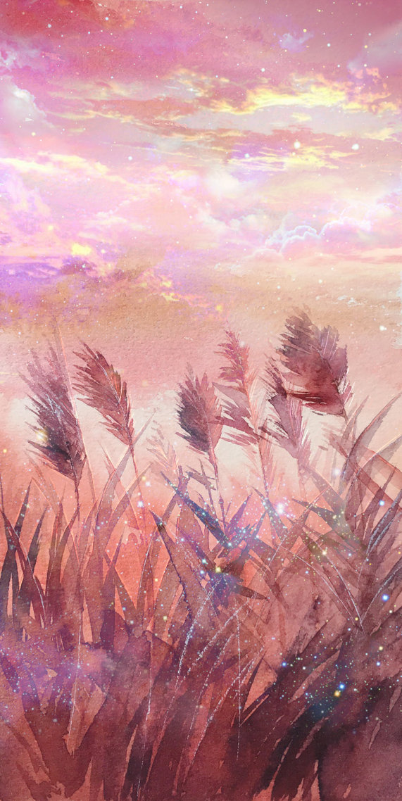 粉黛草