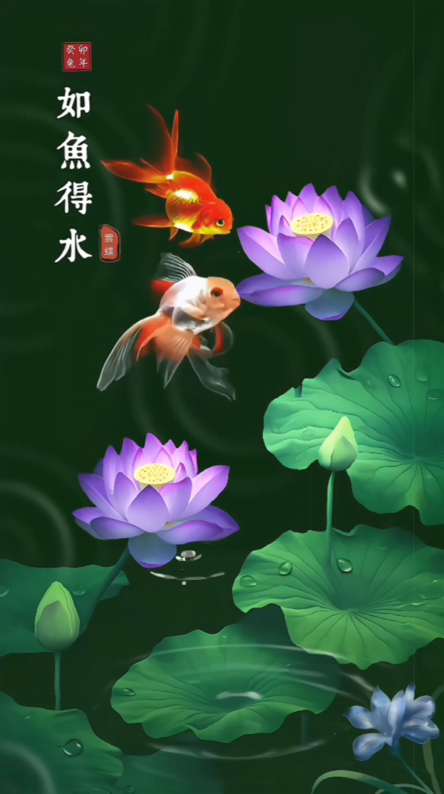 如魚得水4k高清壁紙