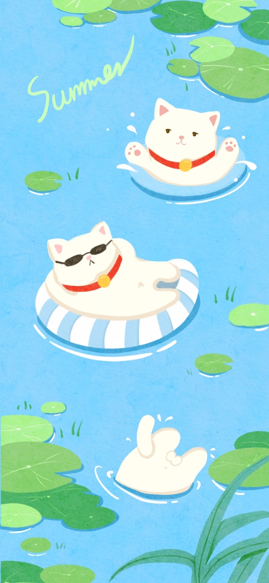 猫猫也爱夏天吖
