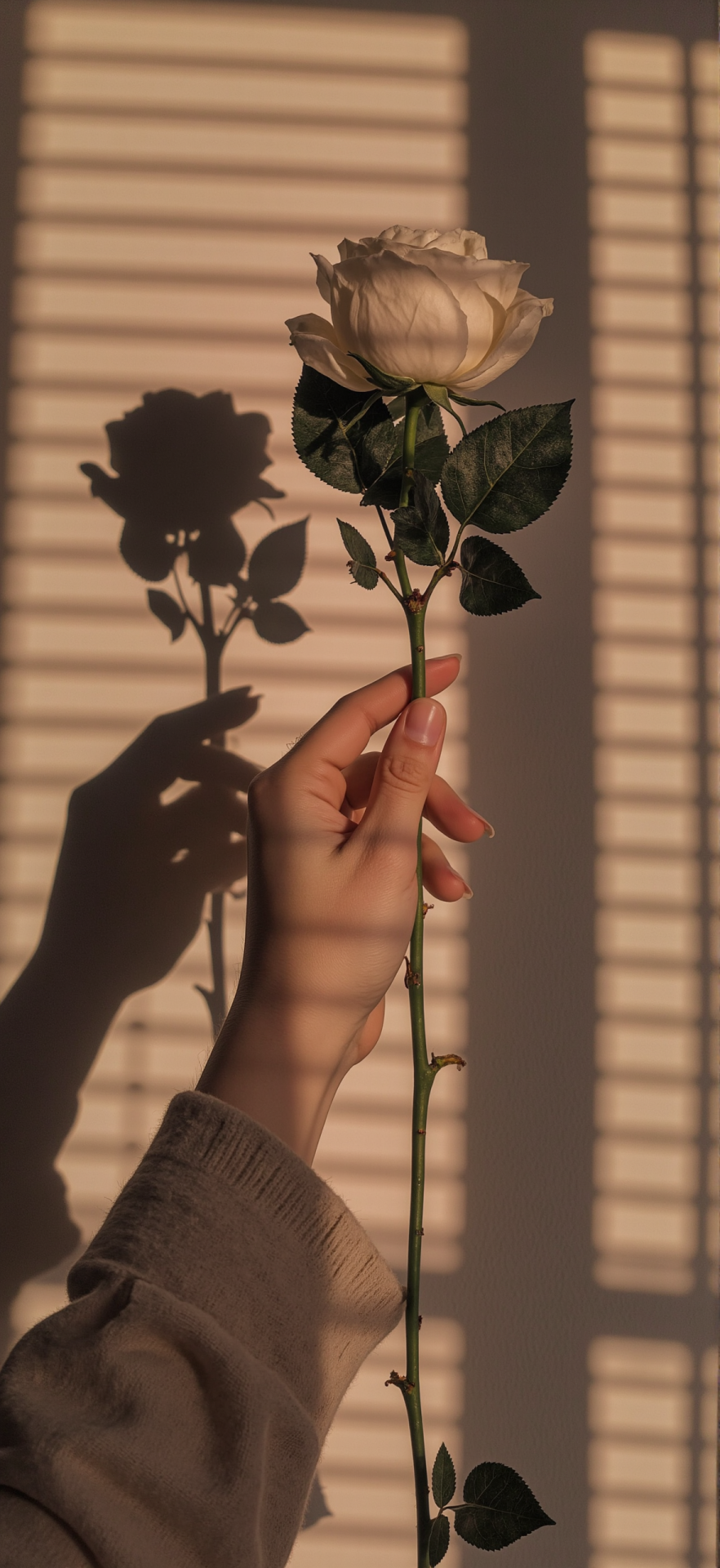 送你一枝花