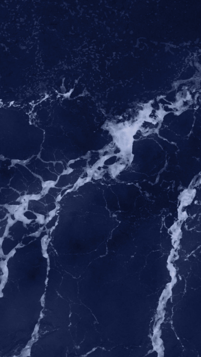 海