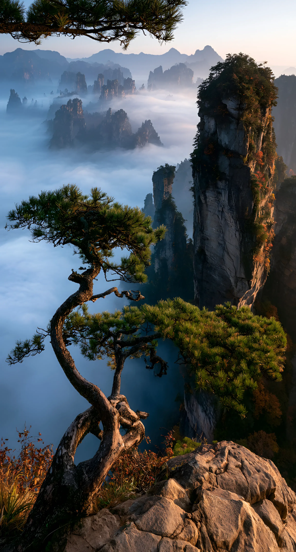 峰立云海，苍松揽千山