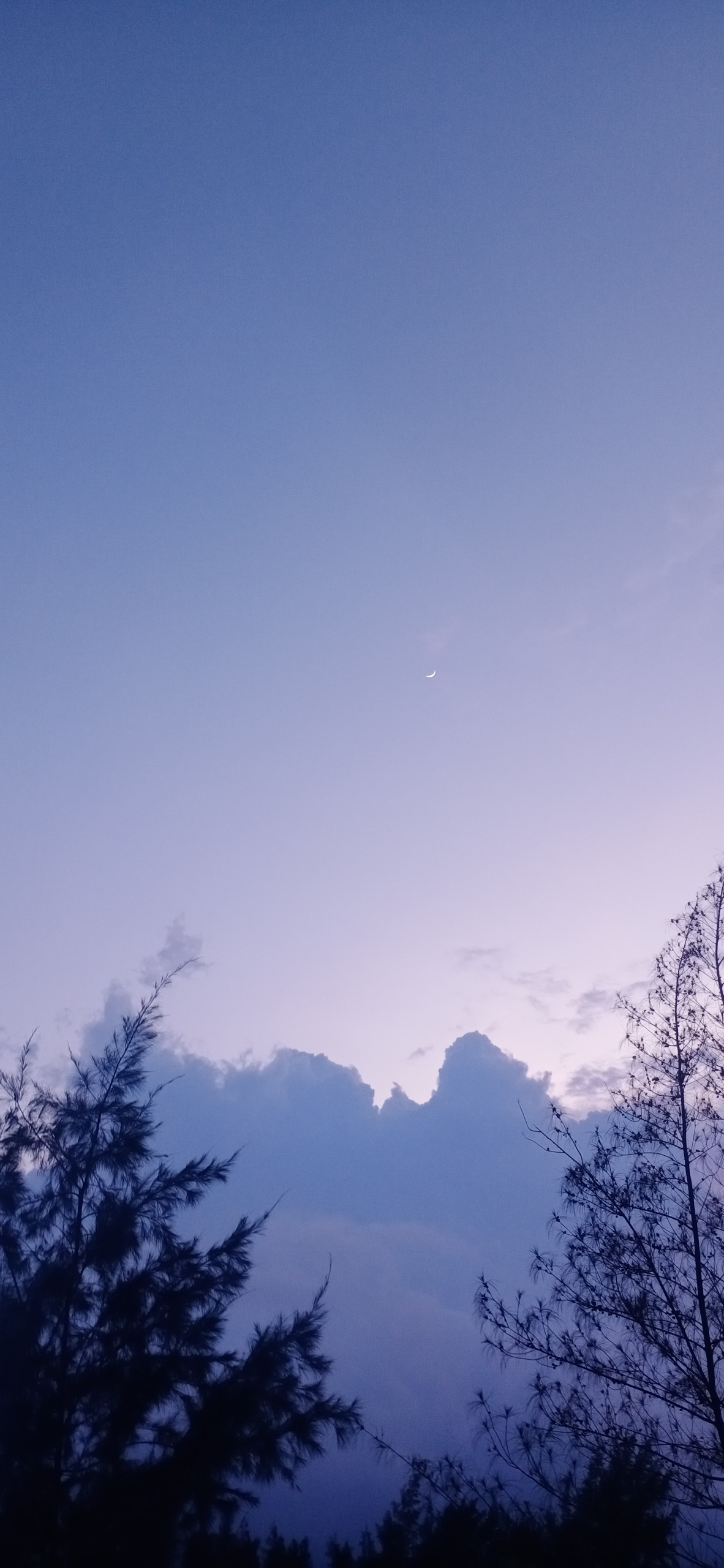 唯美的风景