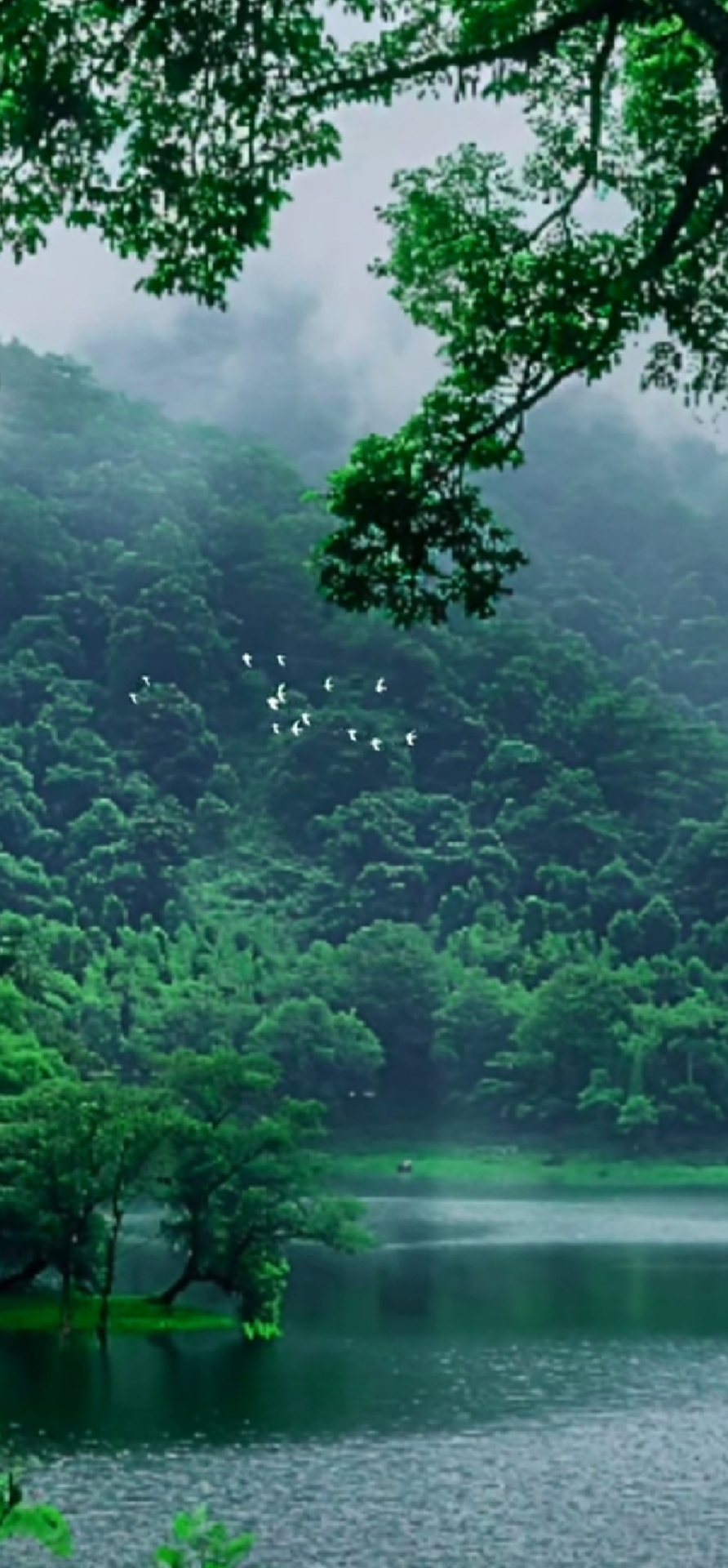 清新护眼风景