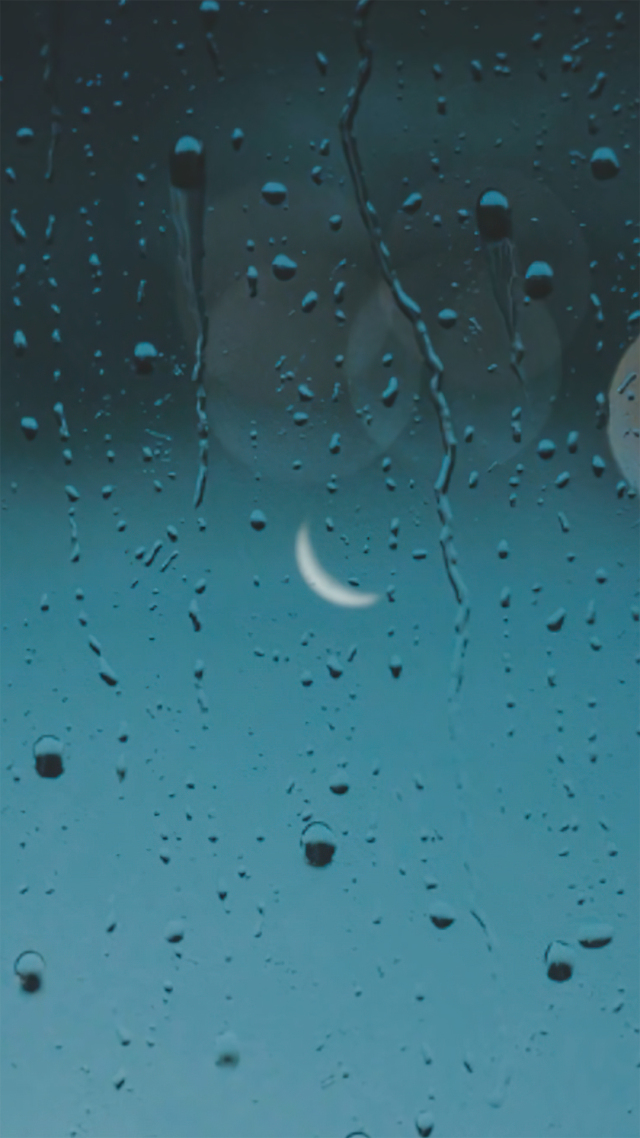 雨