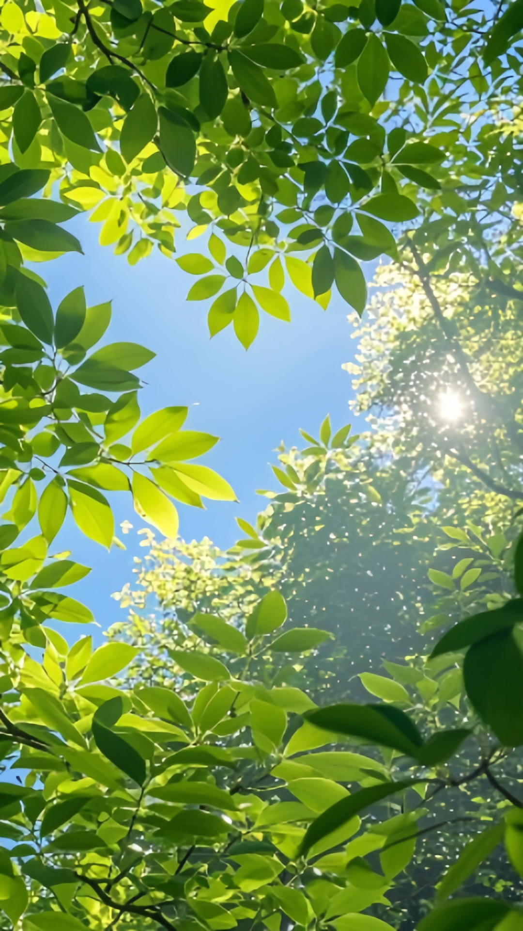 夏季清涼的感覺