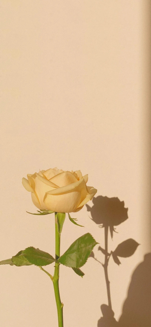 花?