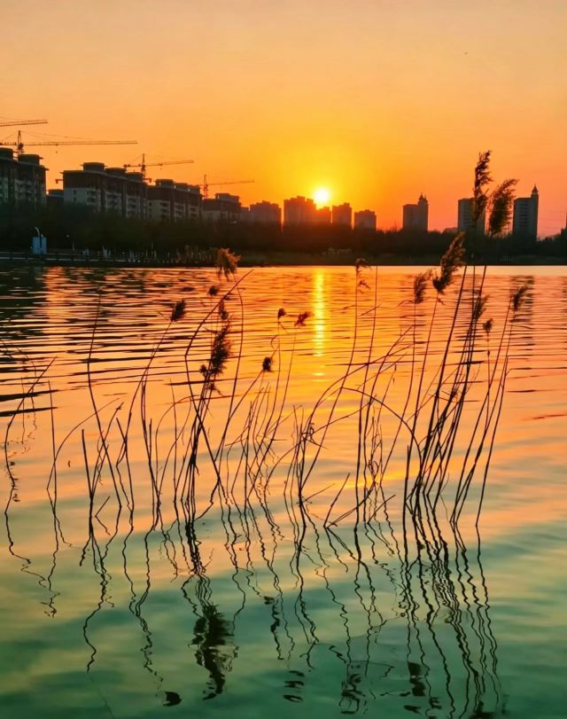 夕阳