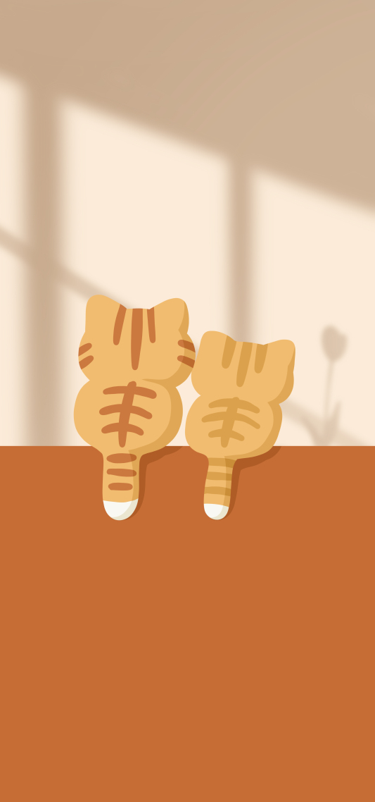 我家的猫