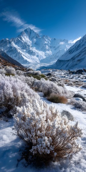 雪域净土，冰封中的生机