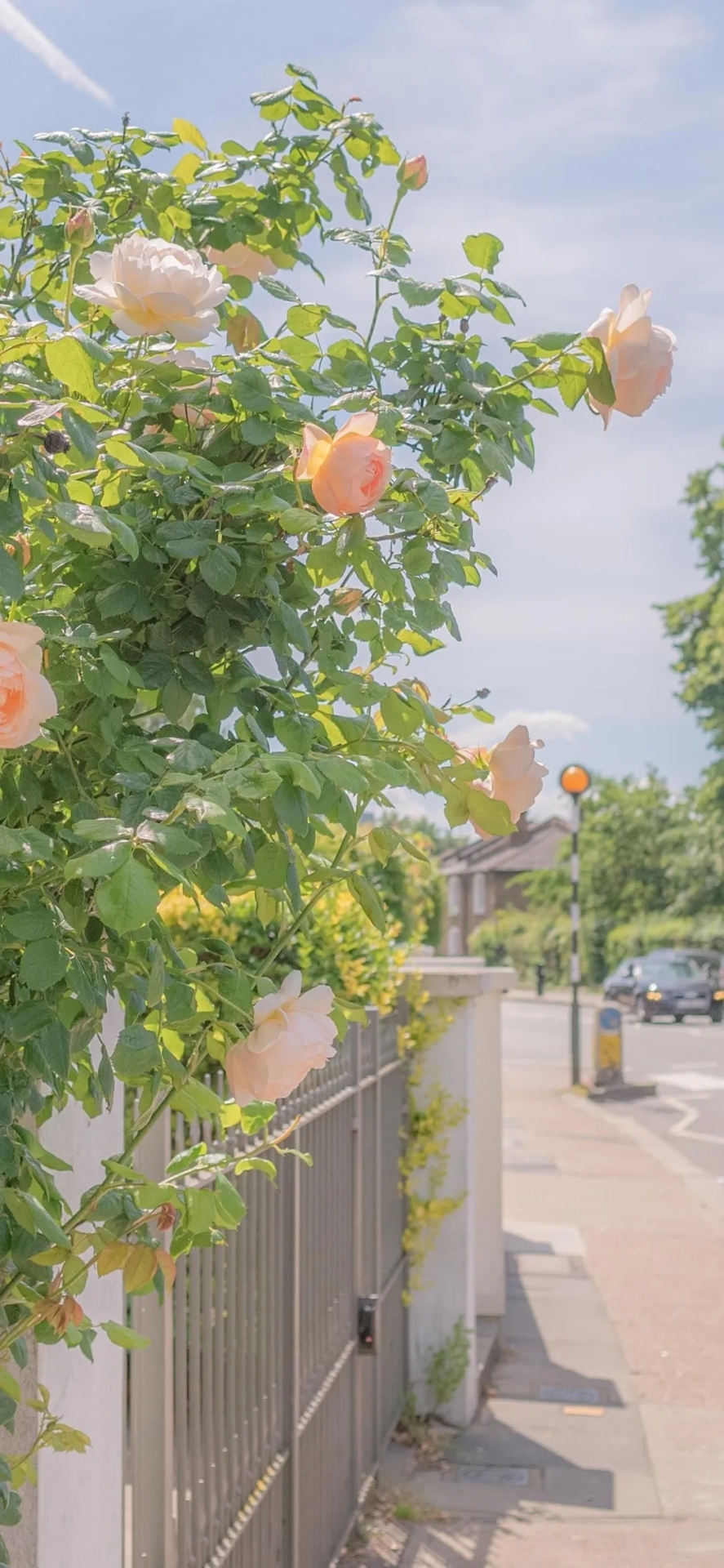 春暖花開