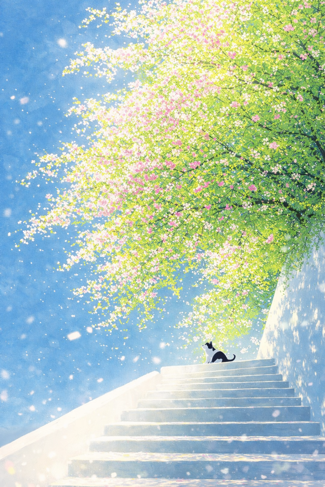 小黑猫与蓝天