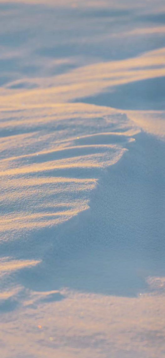 白雪