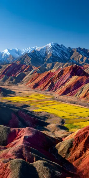 七彩丹霞 ，金色田园