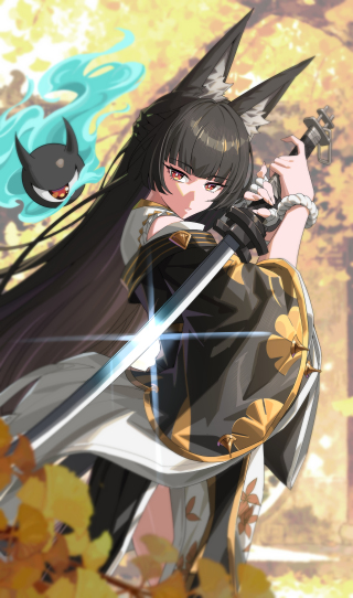 星见雅