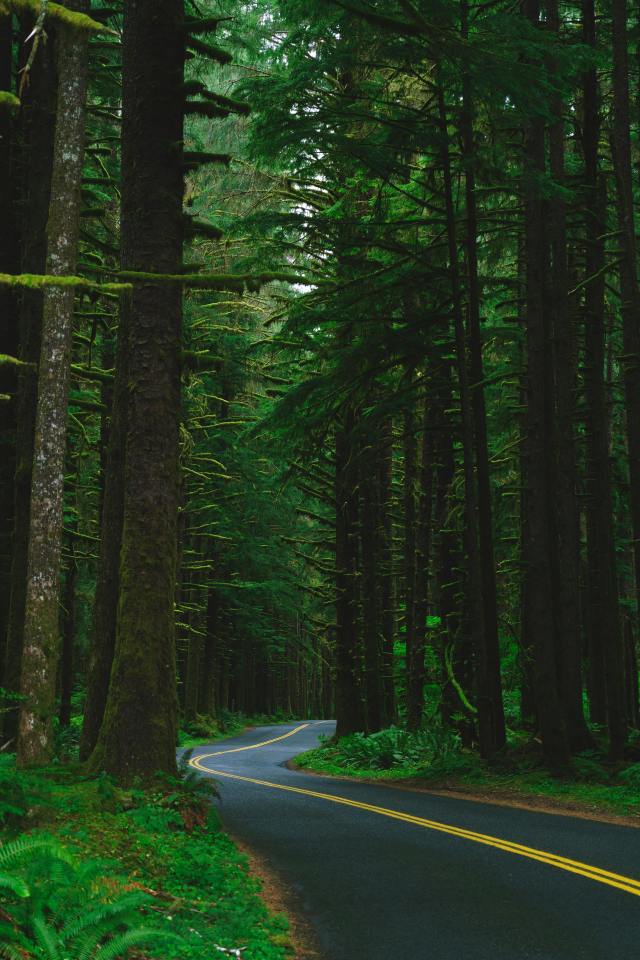 護眼，自然風景路上