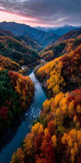 秋染山谷，溪流如诗