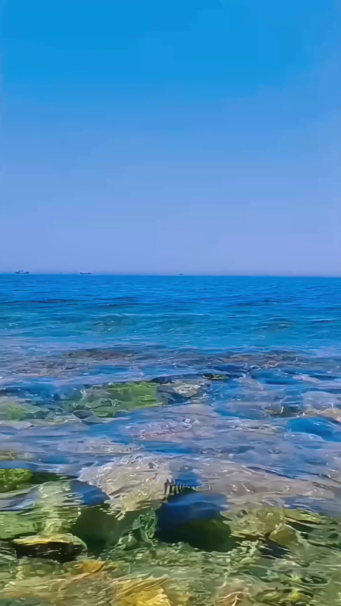 大海①