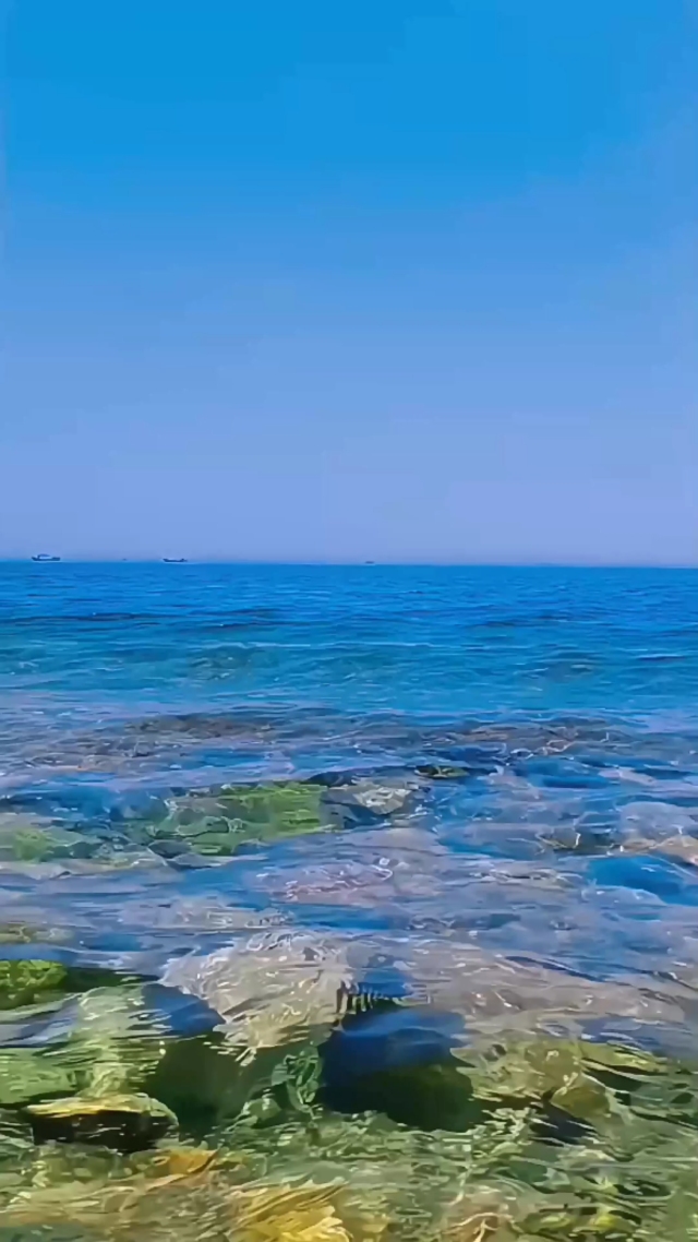 大海①