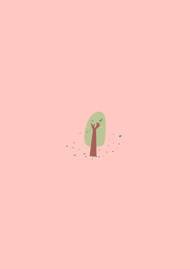 小树苗