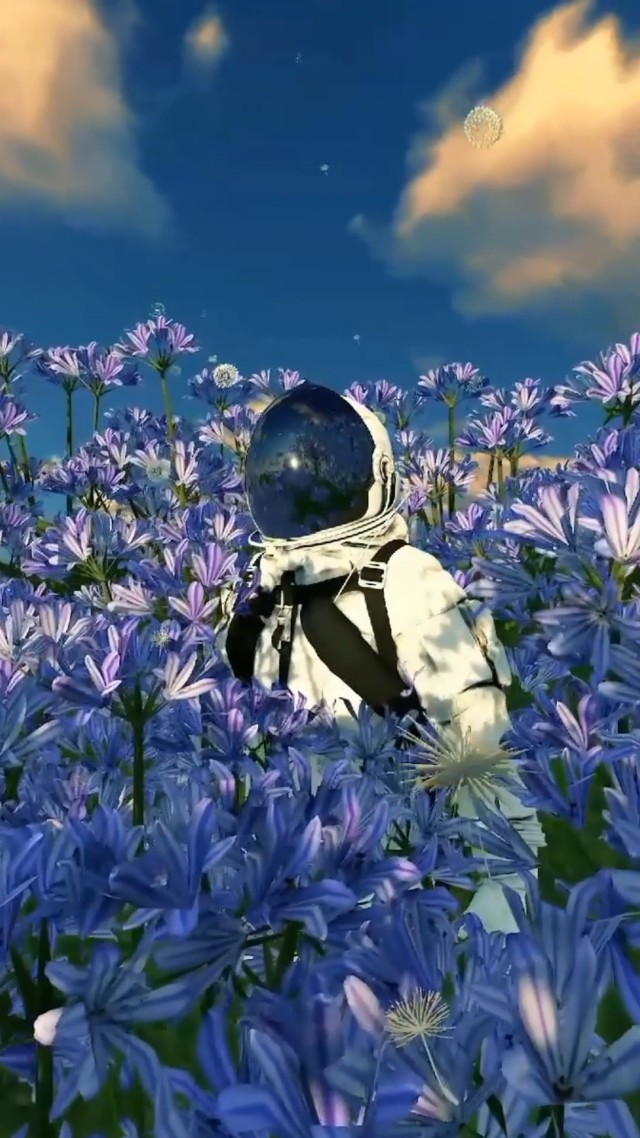 宇航員和藍花