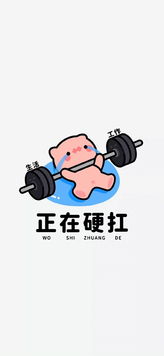 硬扛猪猪