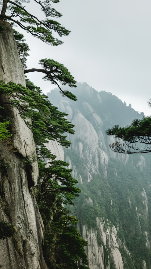 自然护眼风景