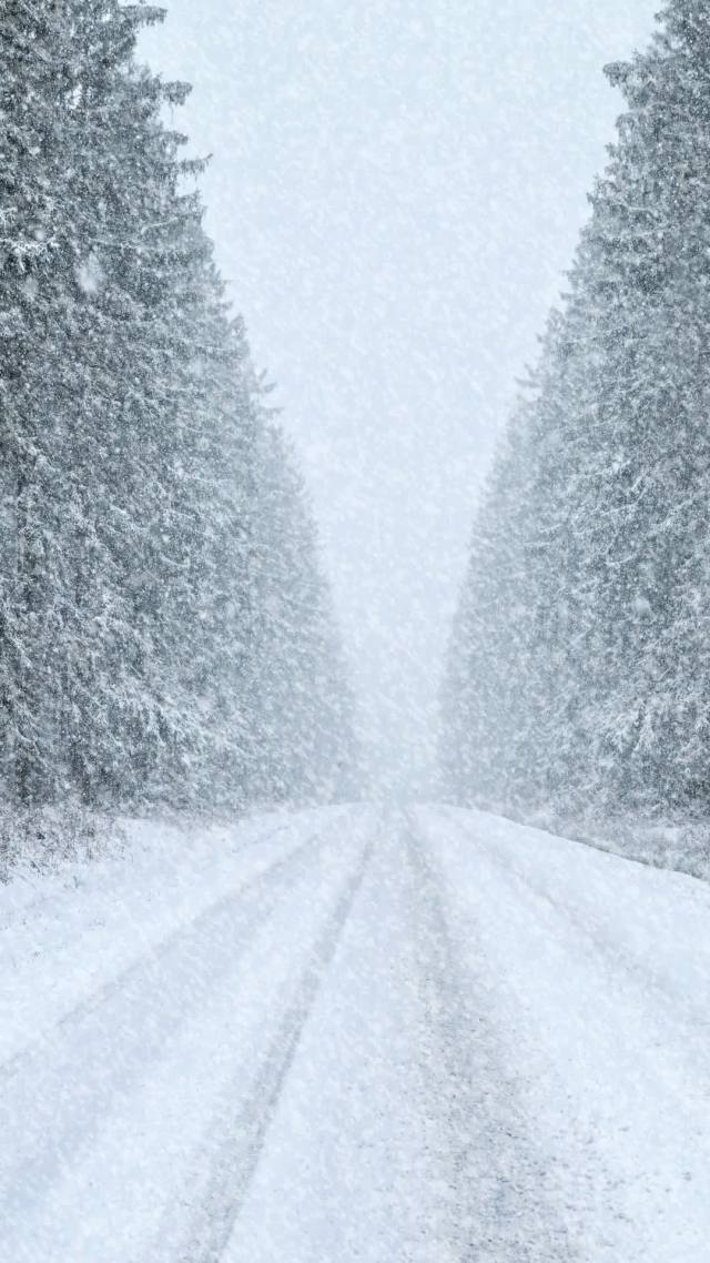 大雪纷飞