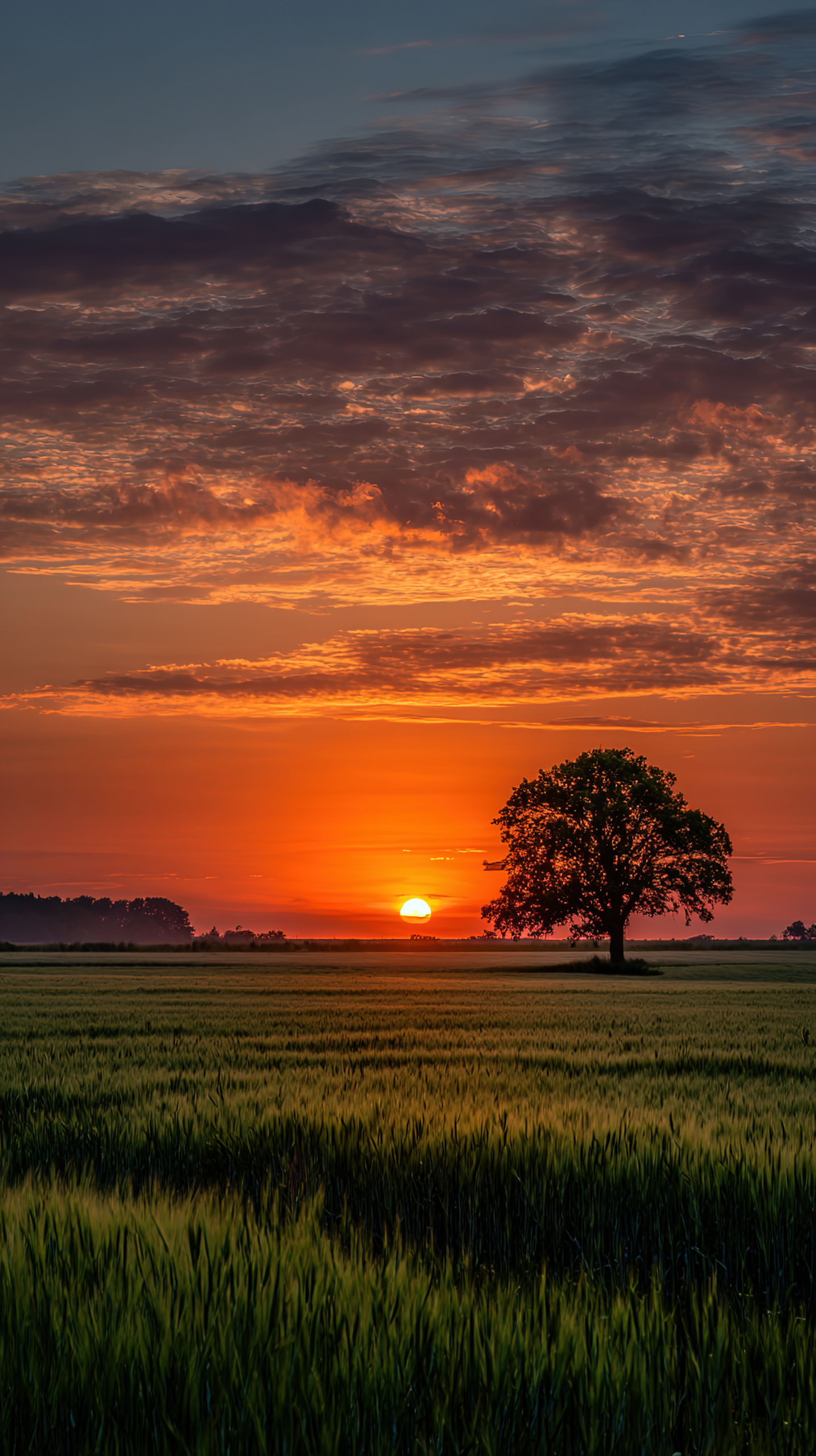 最美夕陽