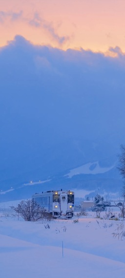 4k唯美雪景