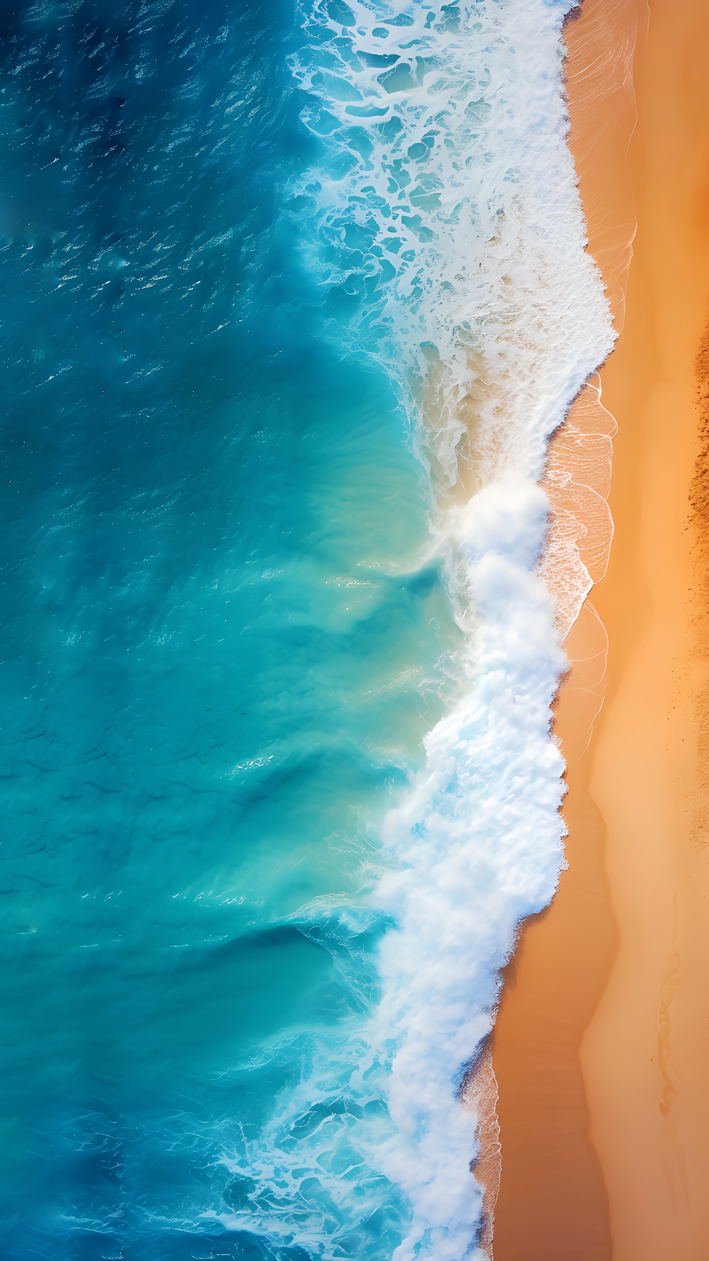 海
