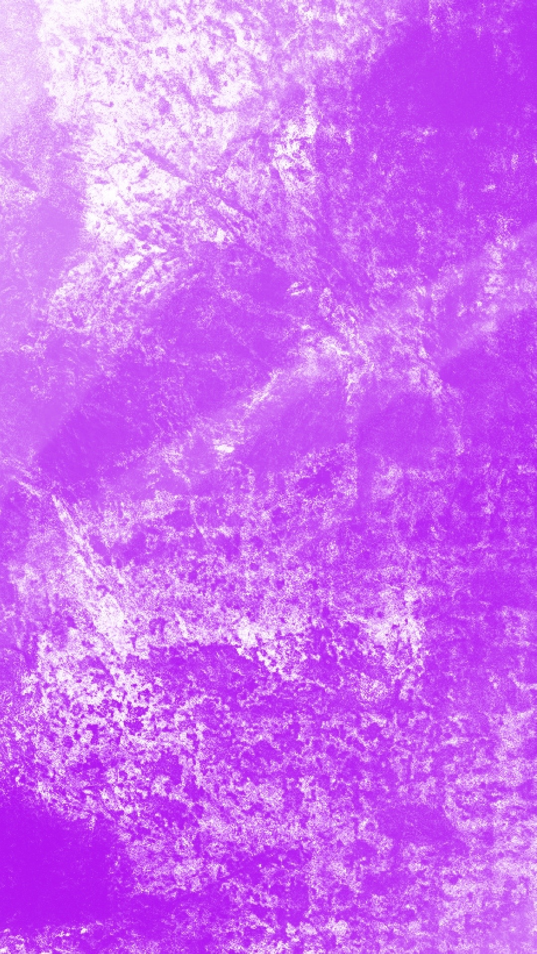 紫