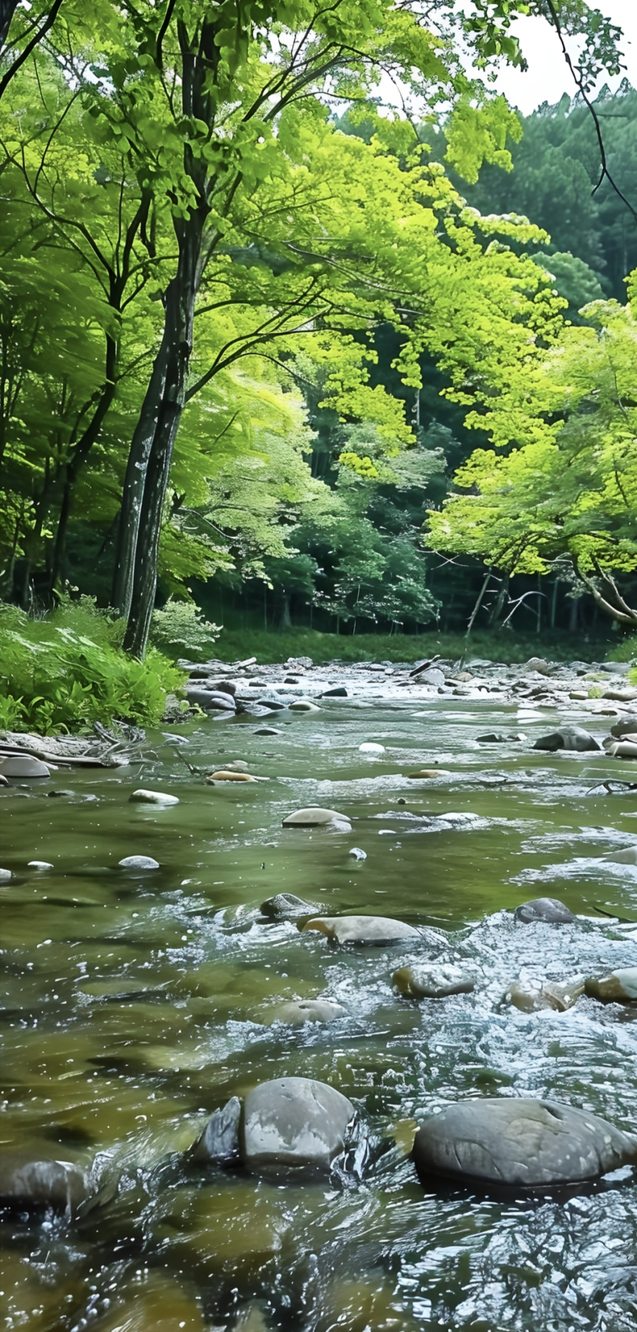 清新自然里的河水