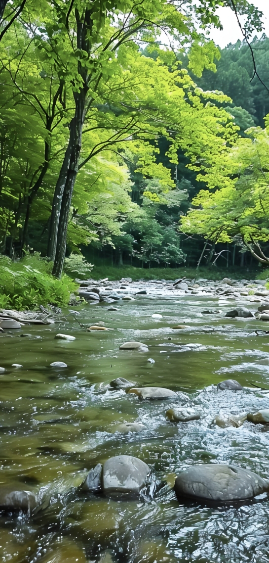清新自然里的河水