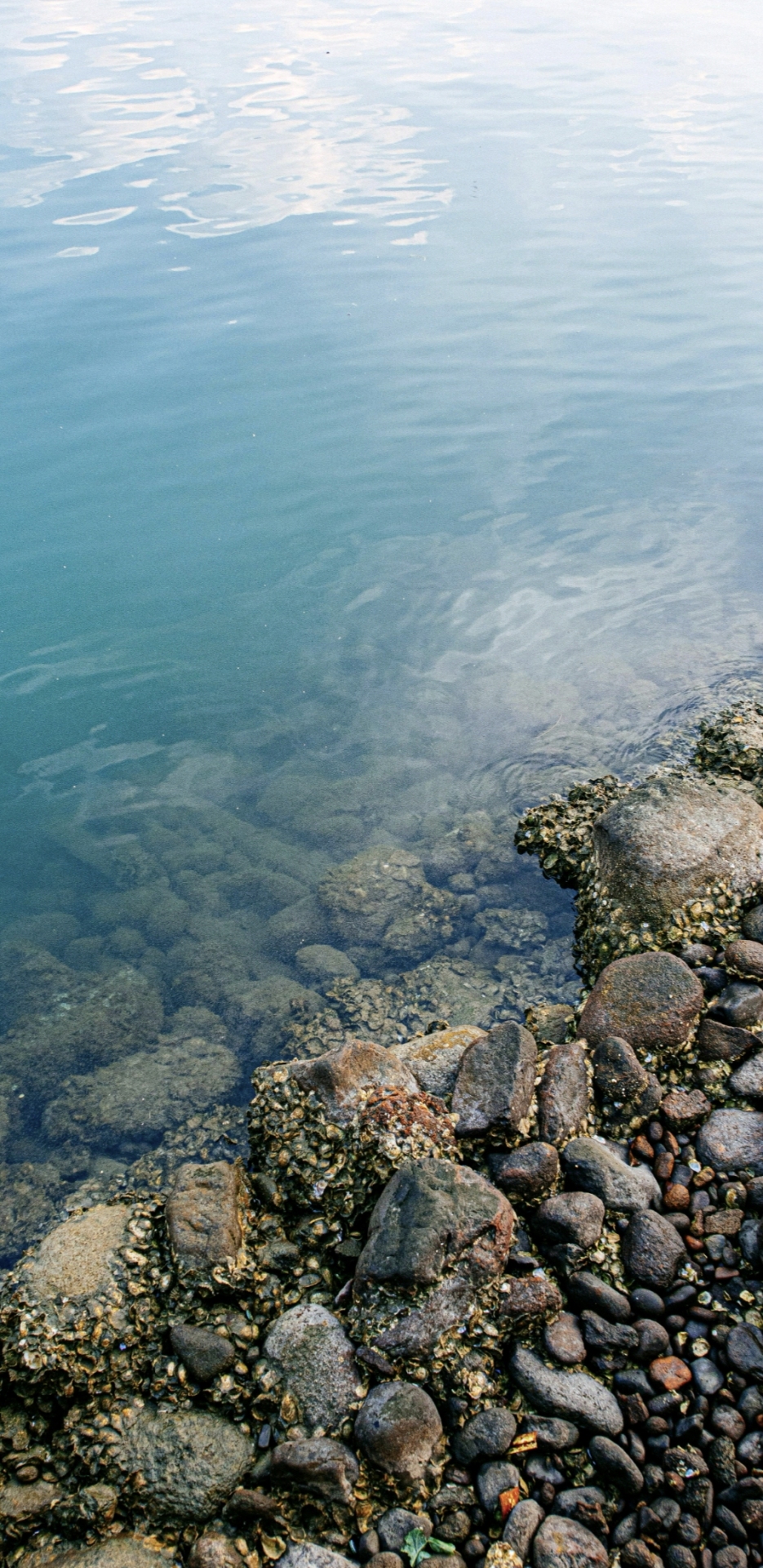 海水清澈