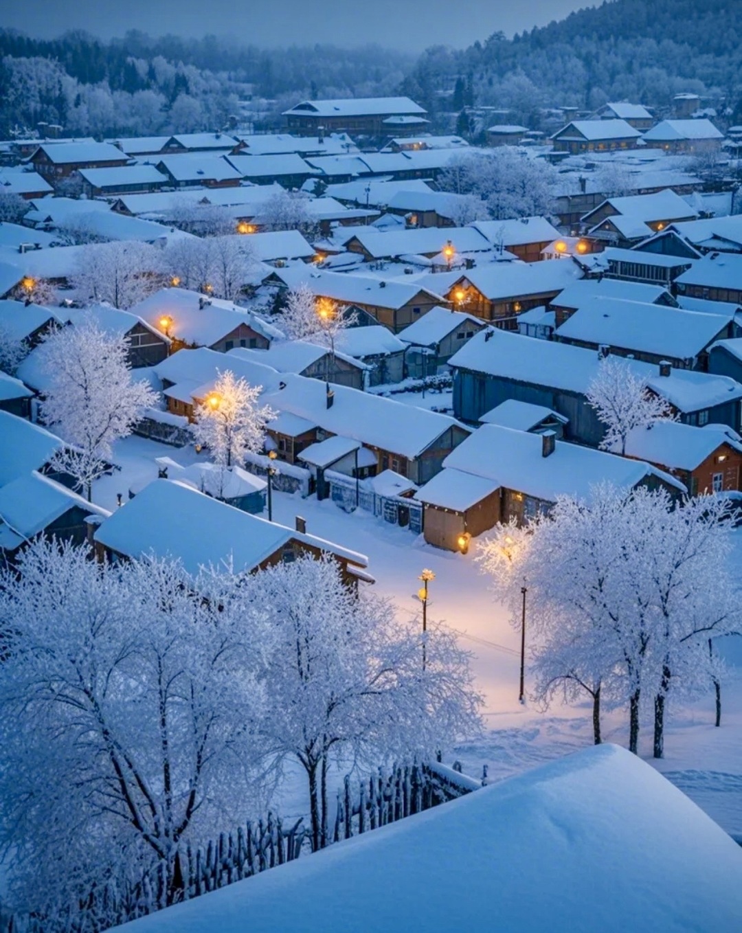 雪景